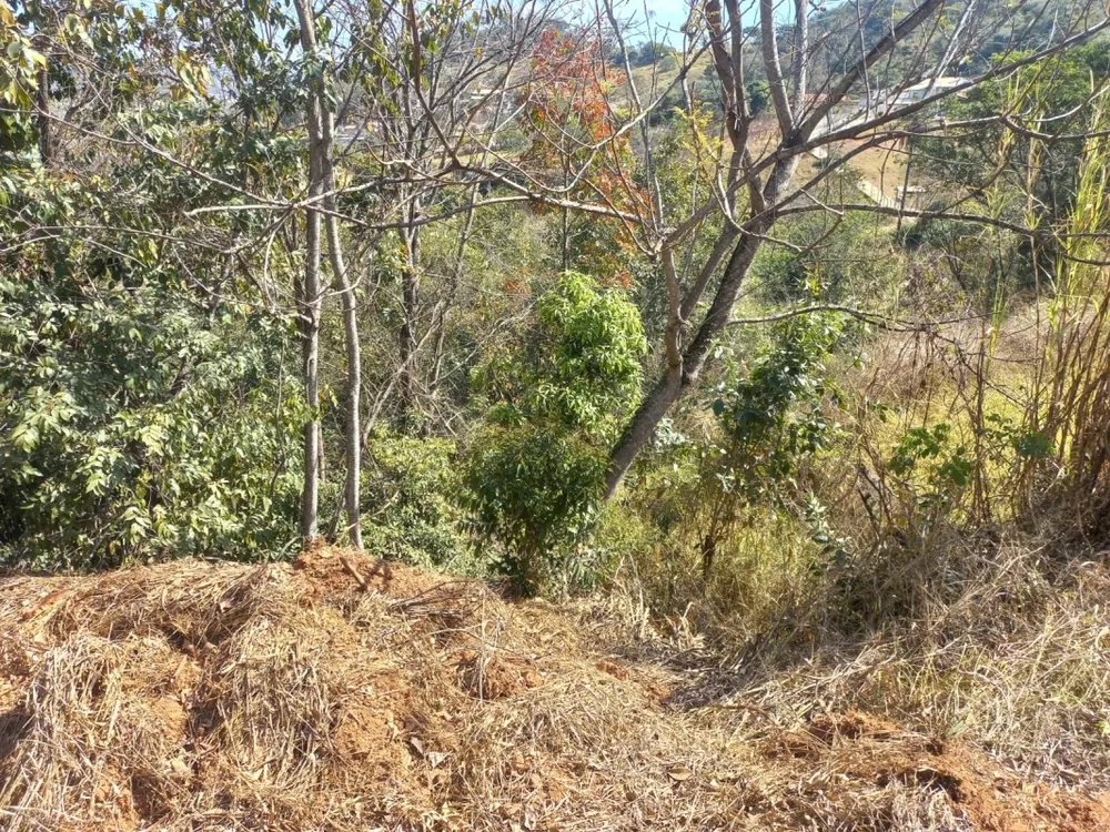 Terreno, 2981 m² - Foto 8