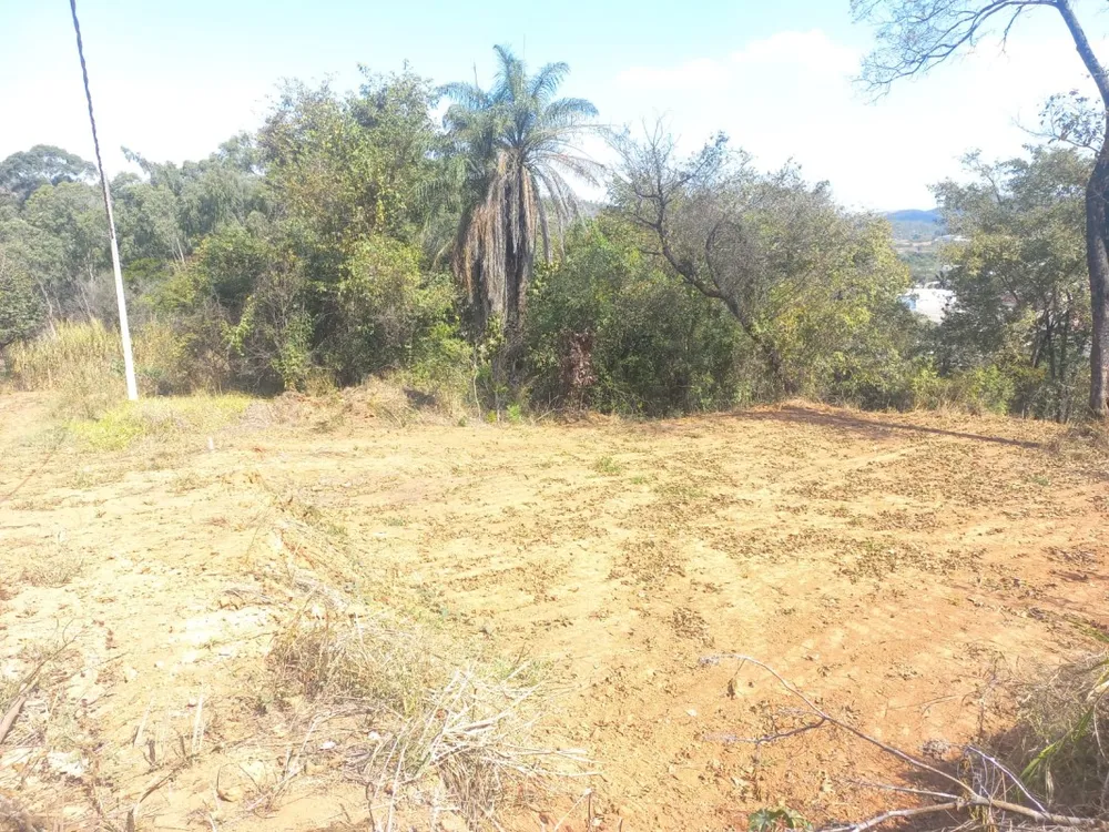 Terreno, 2981 m² - Foto 9