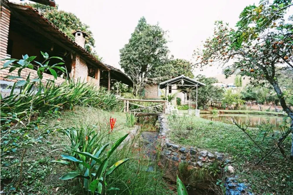 Sítio, 5 quartos, 6000 m² - Foto 3