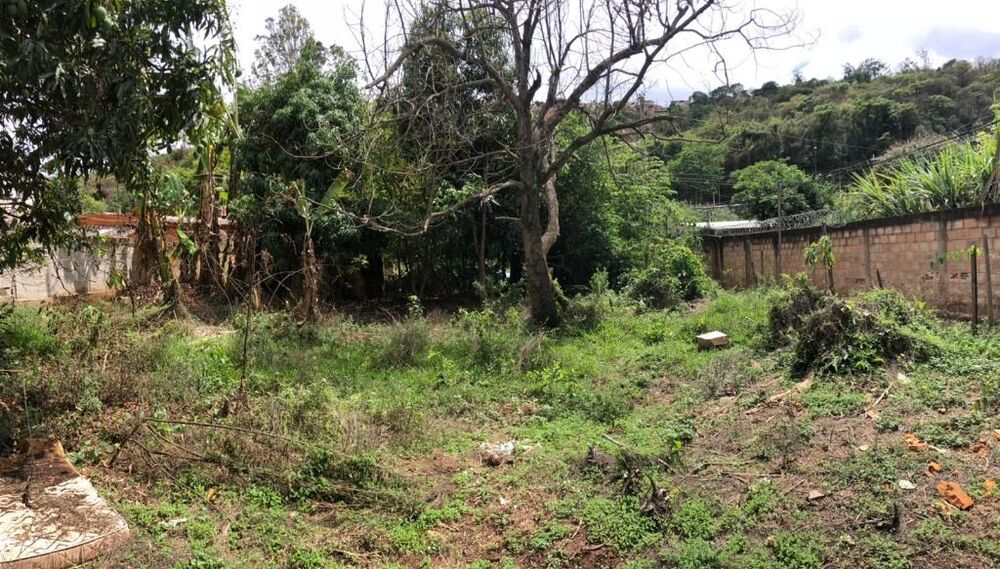 Terreno à venda, 1000m² - Foto 3