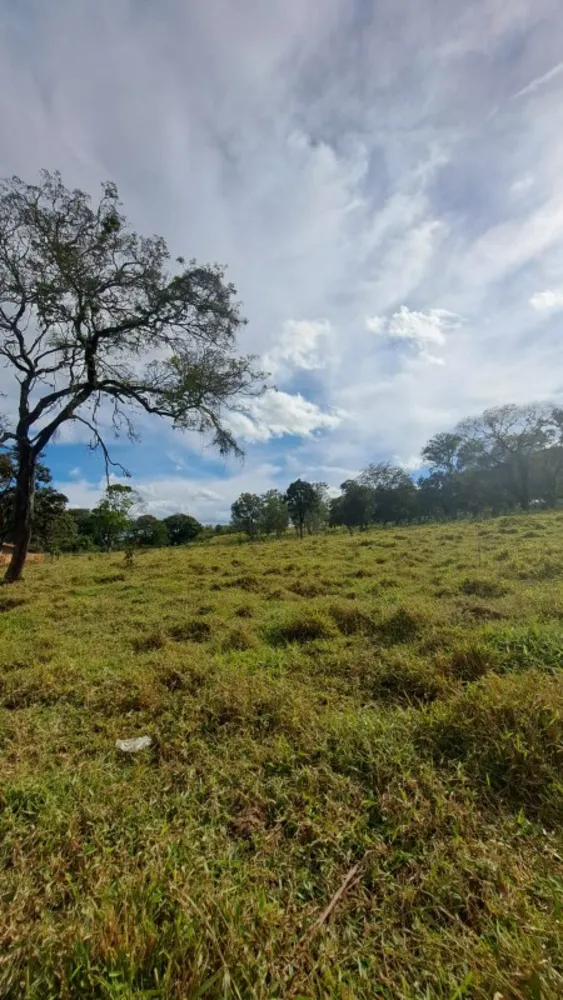 Terreno, 2 hectares - Foto 6