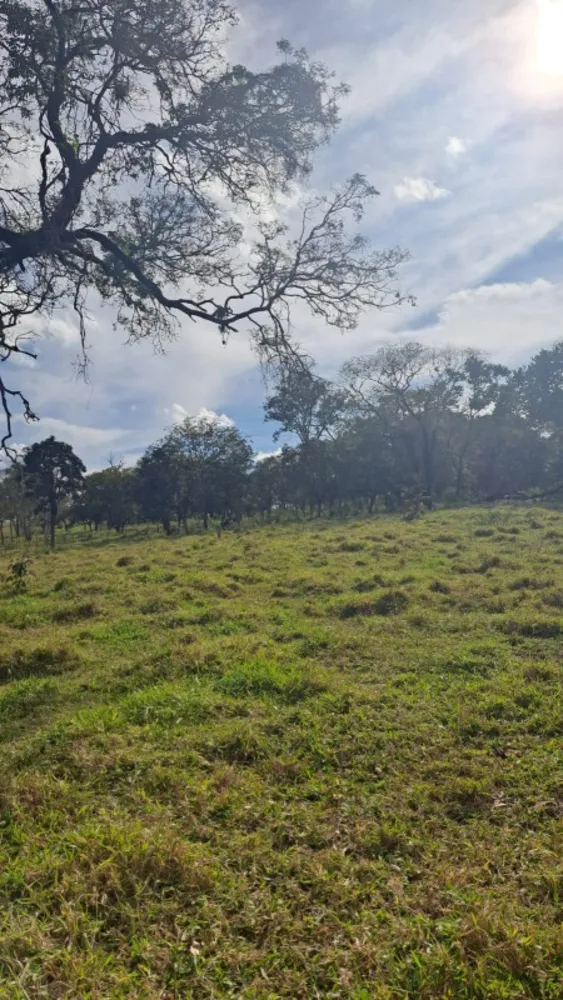 Terreno, 2 hectares - Foto 2