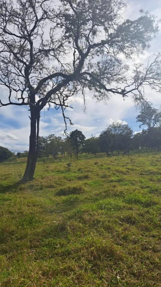 Terreno, 2 hectares - Foto 1
