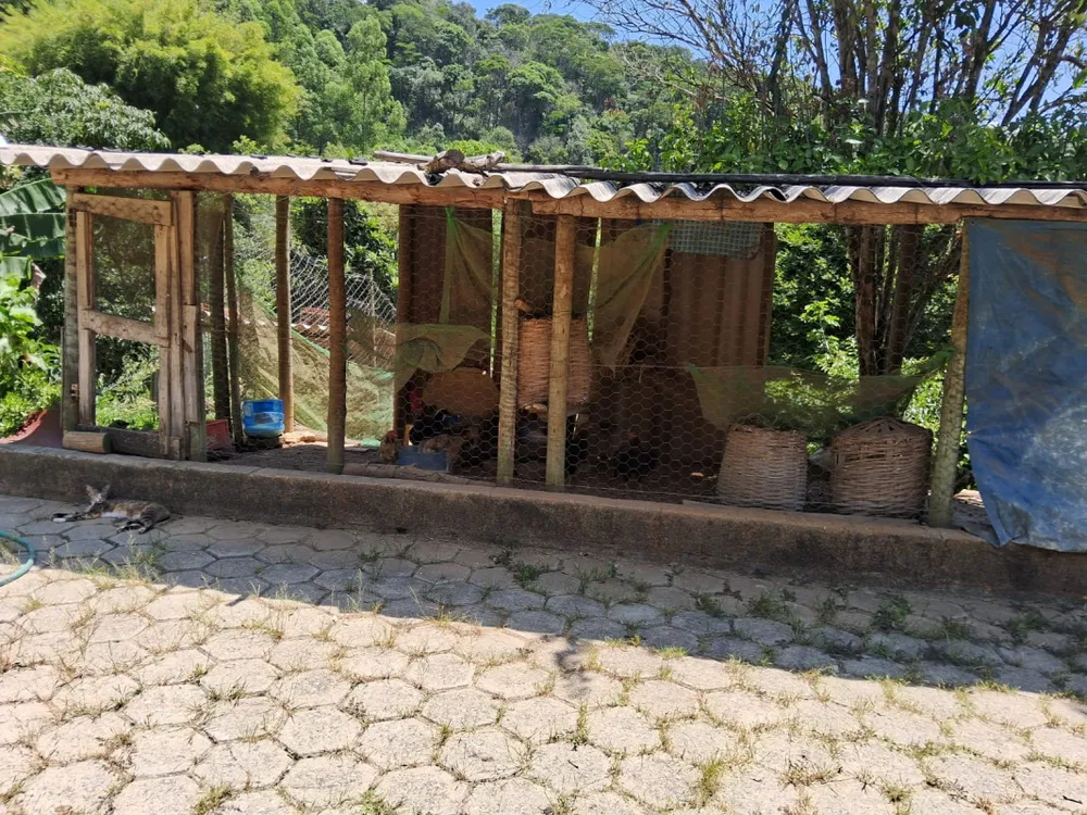 Chácara, 4 quartos - Foto 4