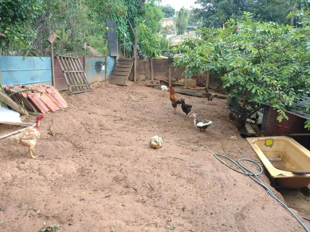 Casa, 3 quartos, 1500 m² - Foto 20