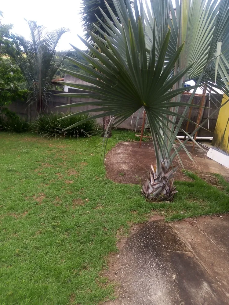 Casa, 2 quartos, 360 m² - Foto 8