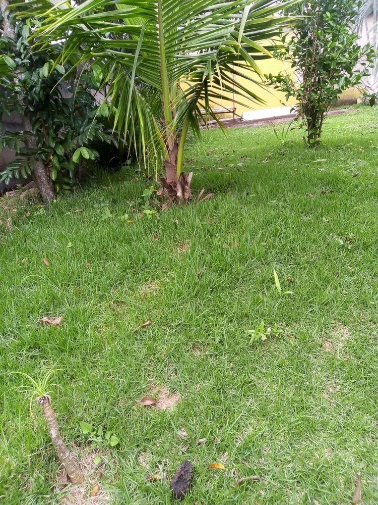 Casa, 2 quartos, 360 m² - Foto 14