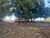 Fazenda, 320 hectares - Foto 4