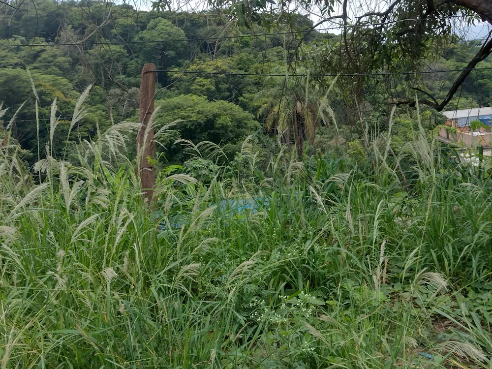 Terreno à venda, 1850m² - Foto 5