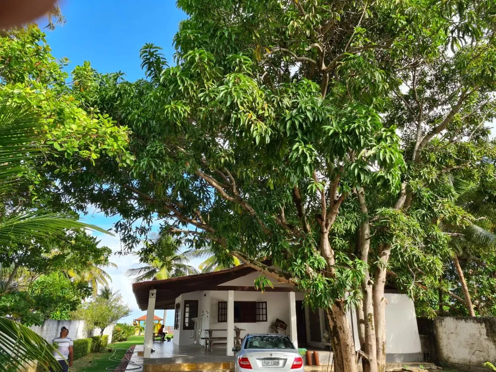 Casa, 4 quartos, 1464 m² - Foto 11