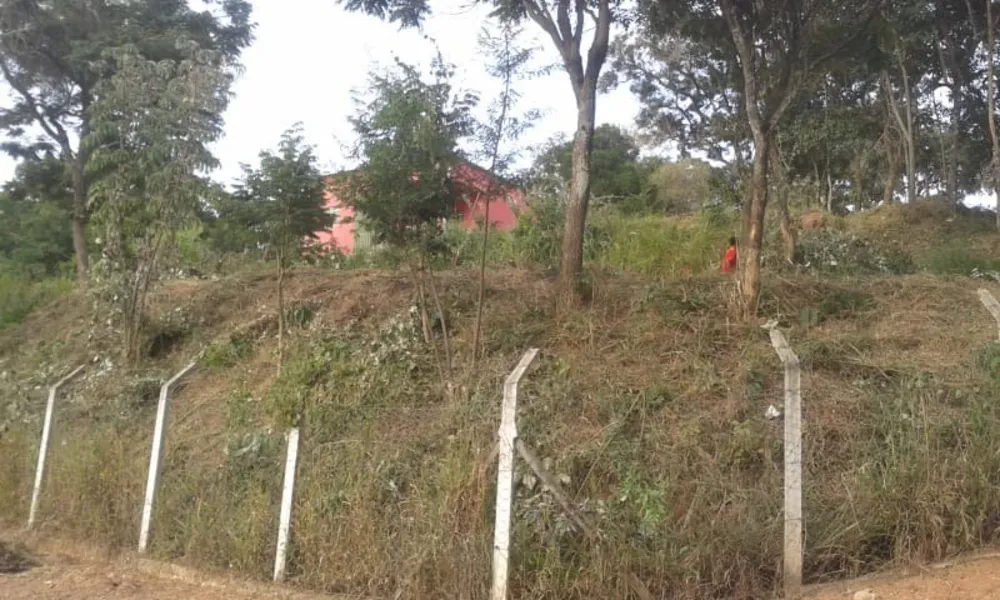 Terreno, 1168 m² - Foto 2