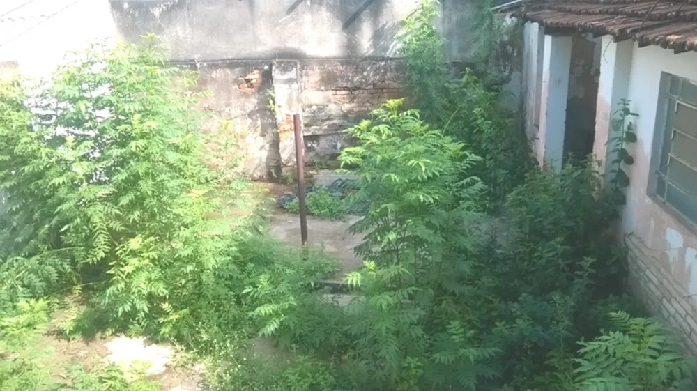 Terreno, 600 m² - Foto 2