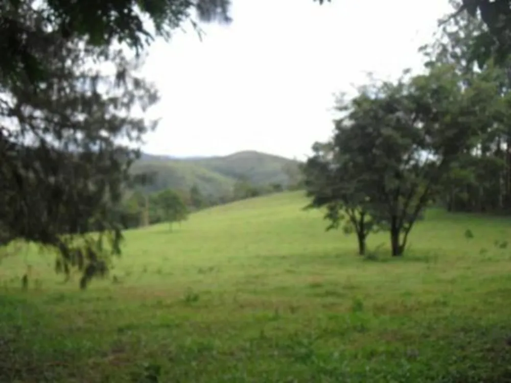 Chácara, 4 quartos - Foto 1