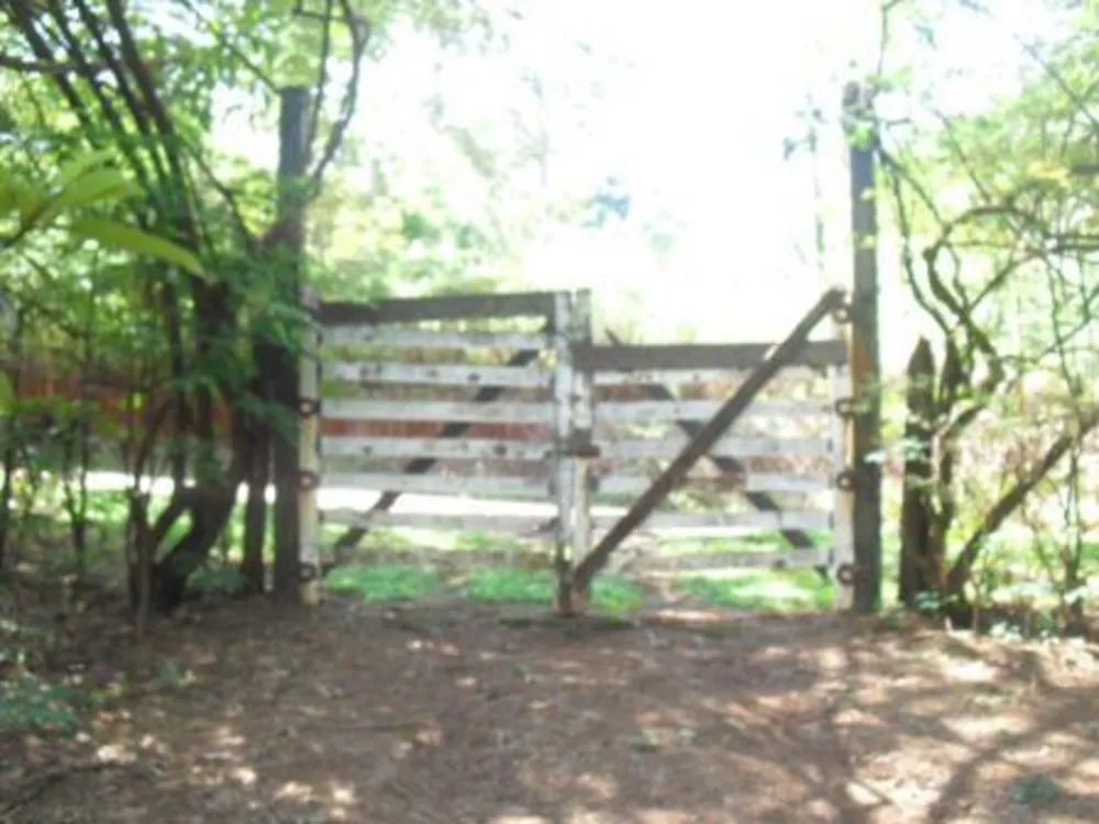 Fazenda, 4 quartos - Foto 8