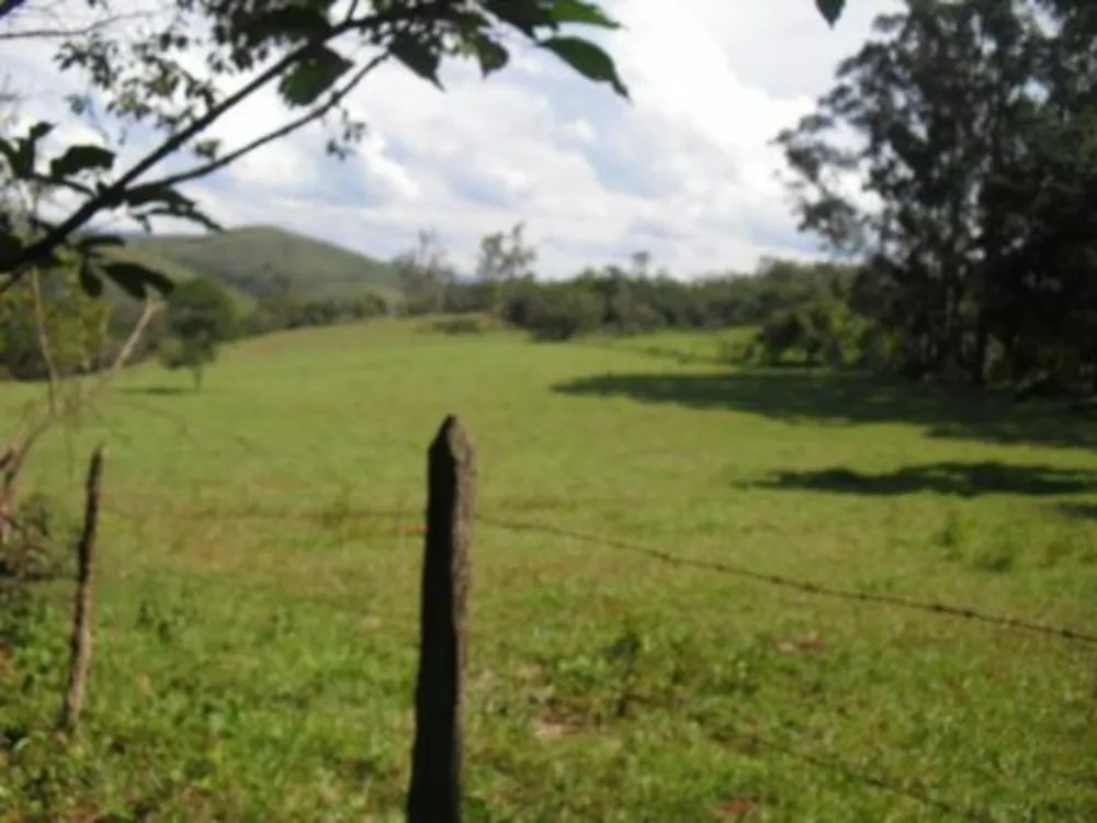 Fazenda, 4 quartos - Foto 4