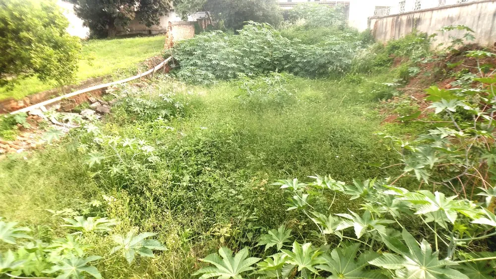 Terreno, 465 m² - Foto 7