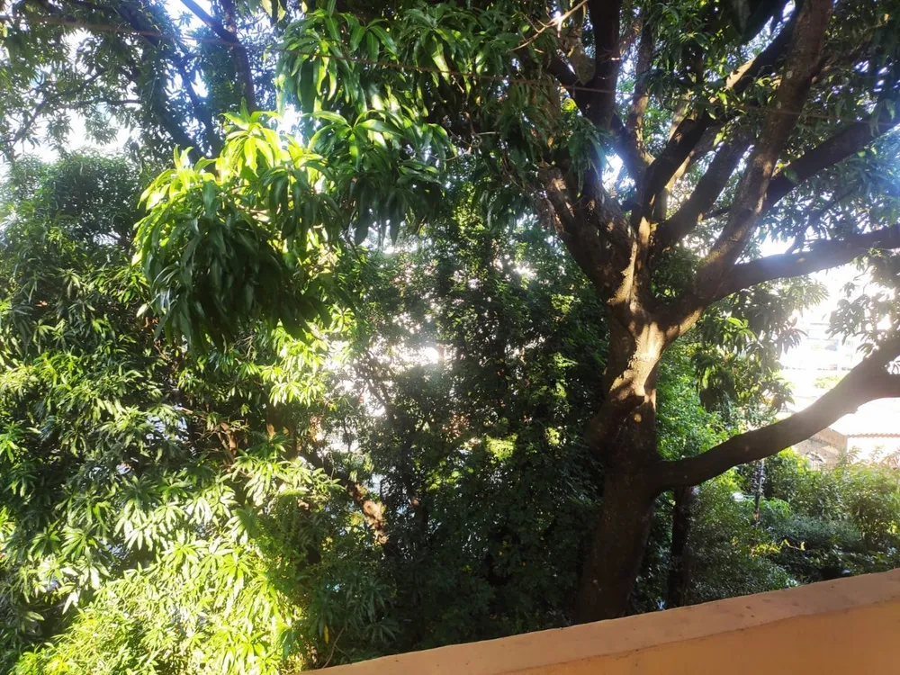 Terreno, 832 m² - Foto 6