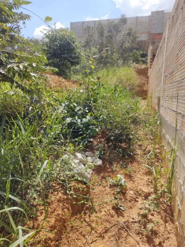 Terreno, 360 m² - Foto 4