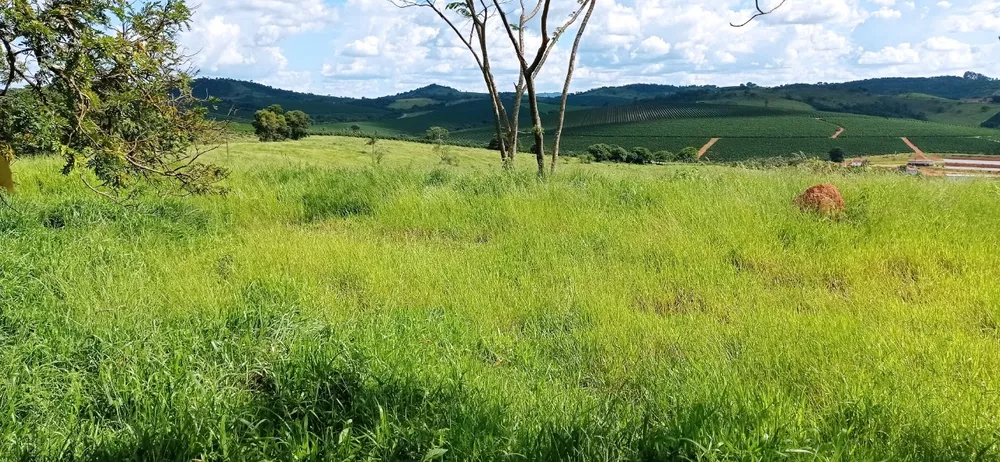 Chácara à venda com 3 quartos, 270000m² - Foto 3