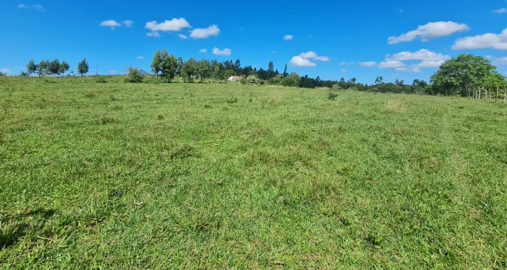 Chácara, 1 quarto, 252 hectares - Foto 3