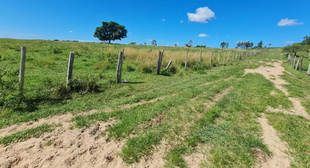 Chácara, 1 quarto, 252 hectares - Foto 8