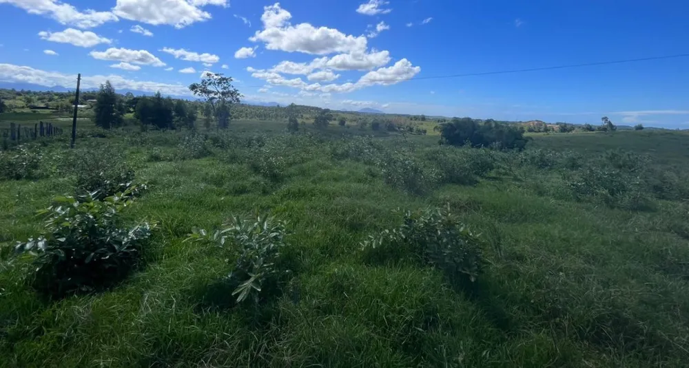 Chácara, 1 quarto, 252 hectares - Foto 19