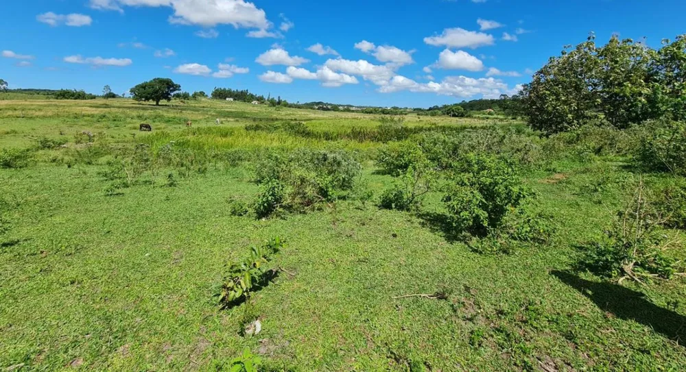Chácara, 1 quarto, 252 hectares - Foto 11