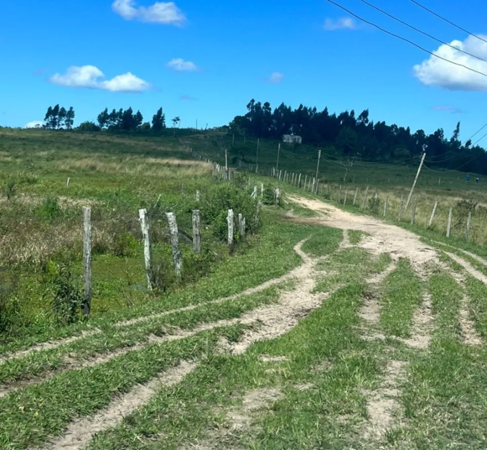 Chácara, 1 quarto, 252 hectares - Foto 22