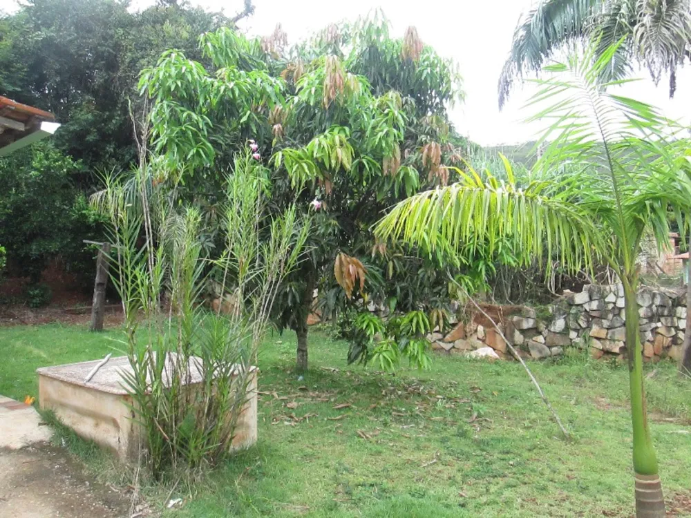Chácara, 7 quartos, 20 m² - Foto 2