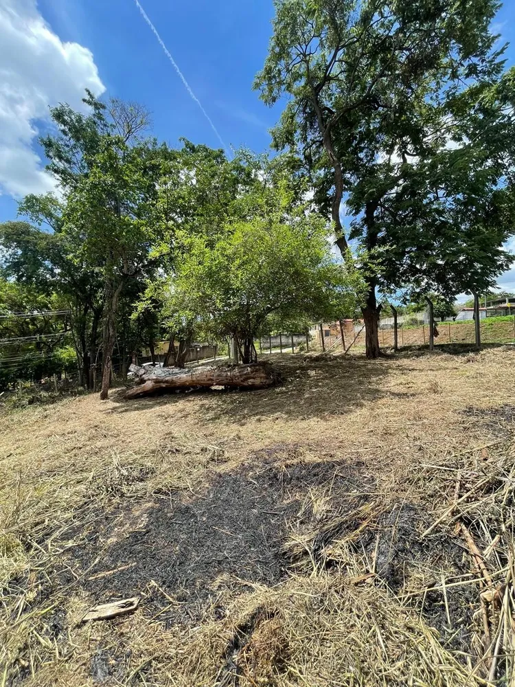 Terreno, 525 m² - Foto 4