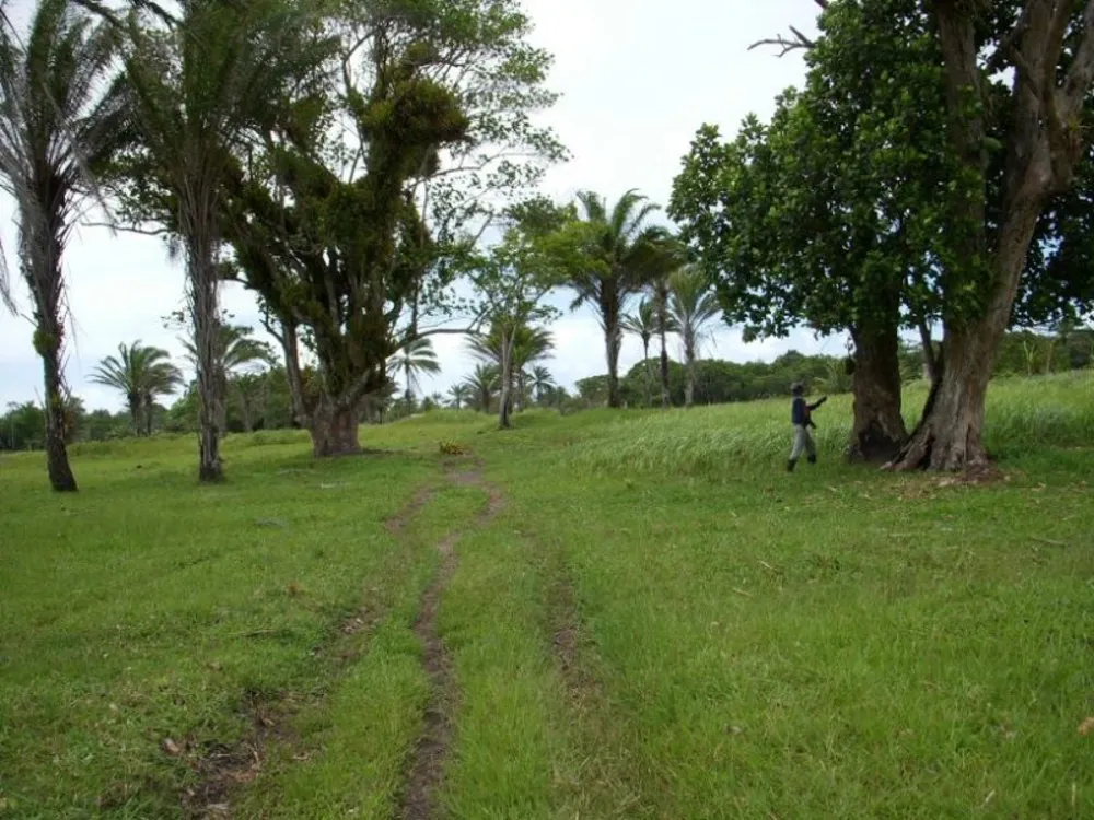 Fazenda, 1 quarto - Foto 11