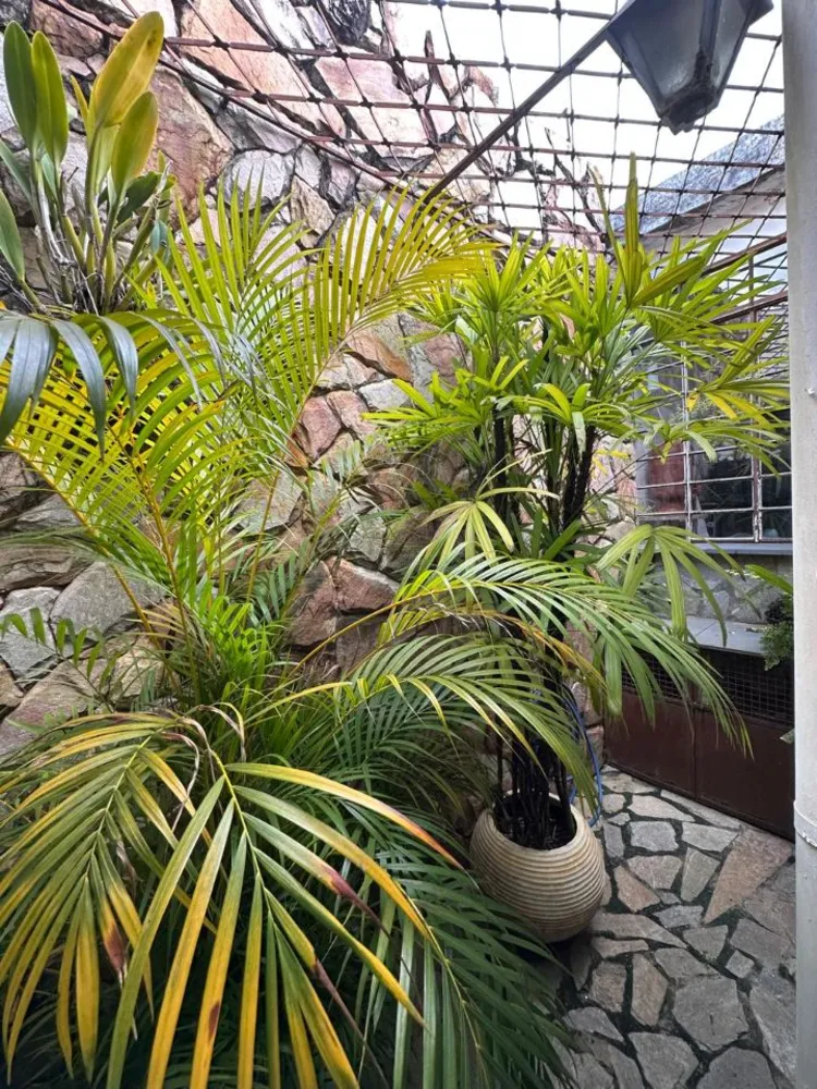 Casa, 3 quartos, 300 m² - Foto 6
