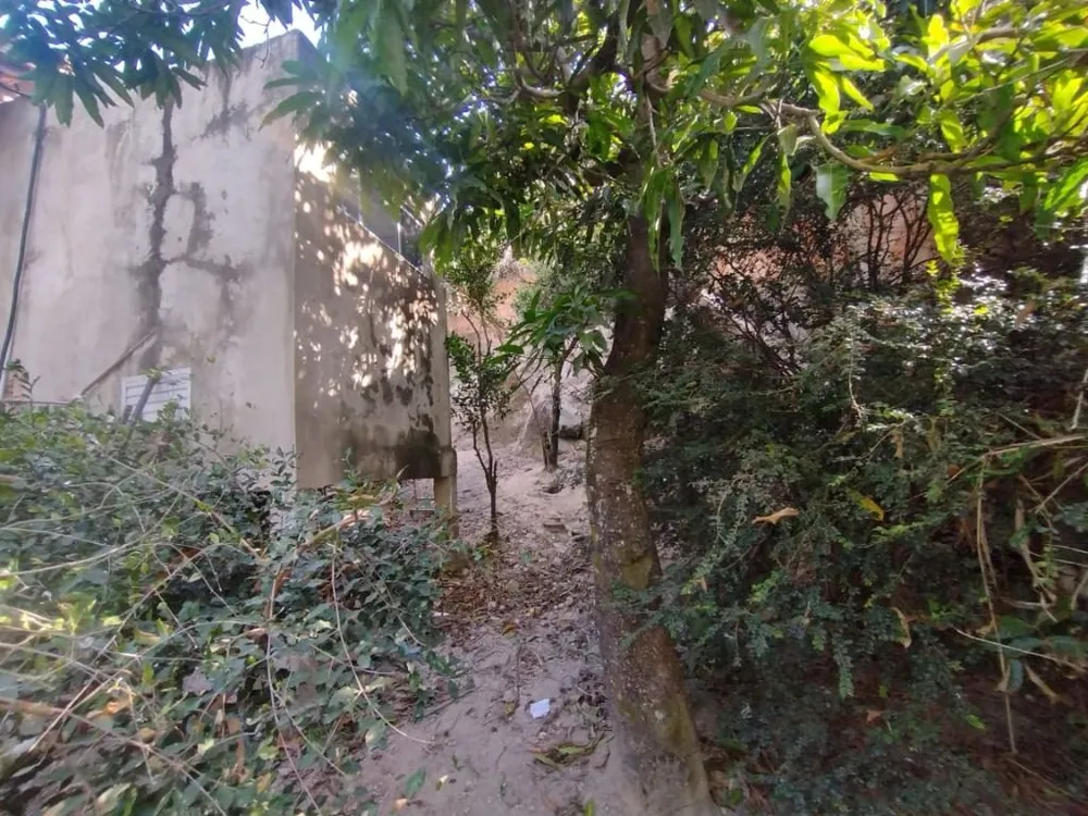 Casa, 3 quartos, 1500 m² - Foto 6