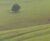 Fazenda, 1500 hectares - Foto 3