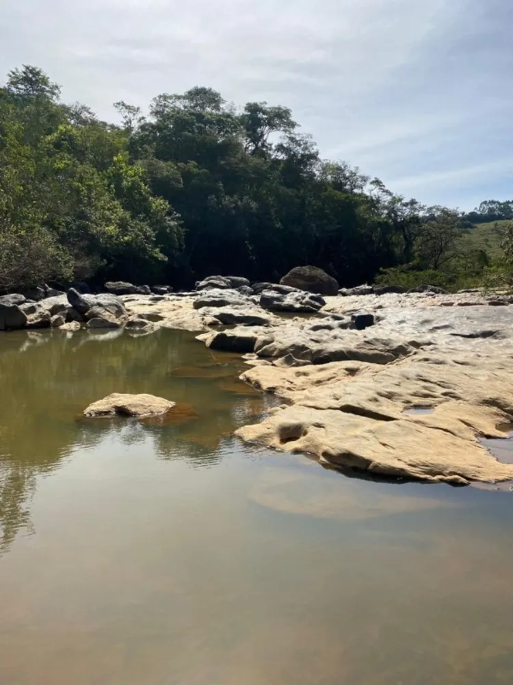 Chácara, 1 quarto, 10000 m² - Foto 6