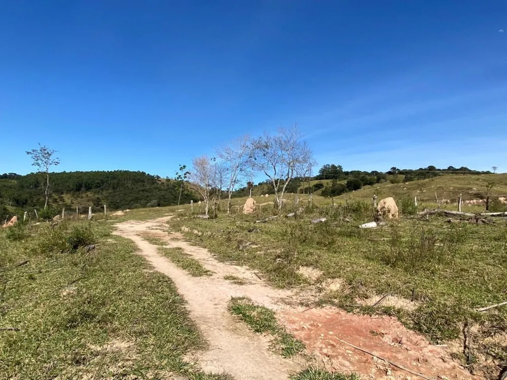 Chácara, 1 quarto, 10000 m² - Foto 9