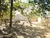 Terreno, 364 m² - Foto 8