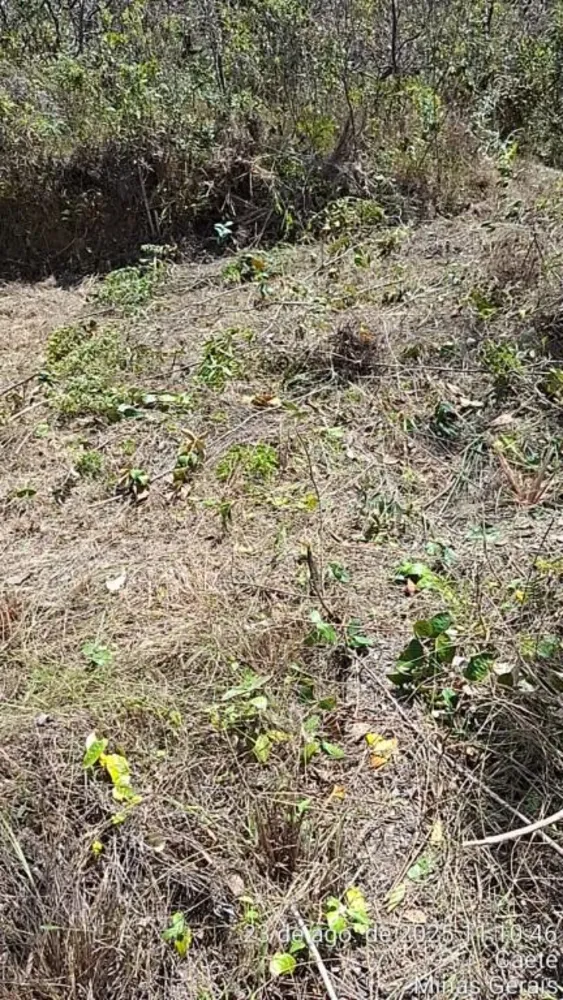 Terreno, 5900 m² - Foto 5