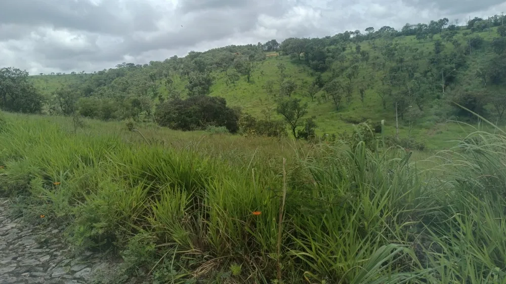Terreno, 500 m² - Foto 2