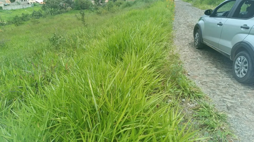 Terreno, 500 m² - Foto 2