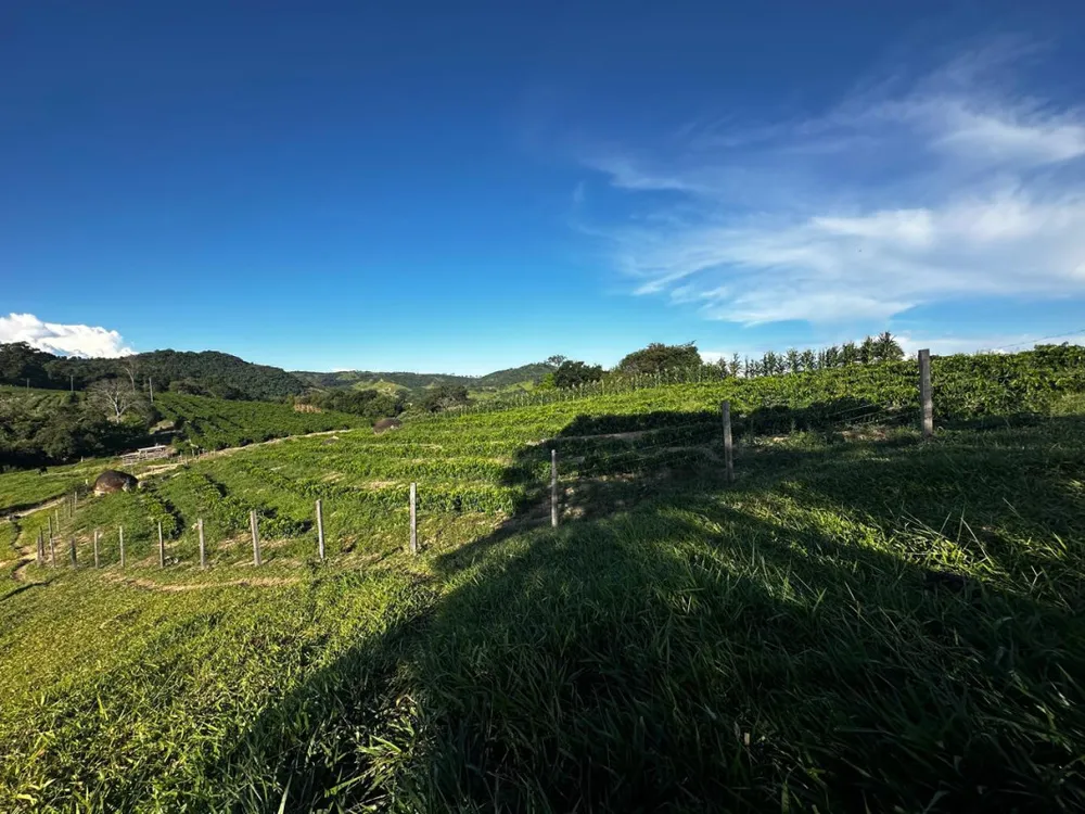 Fazenda, 1 quarto - Foto 2