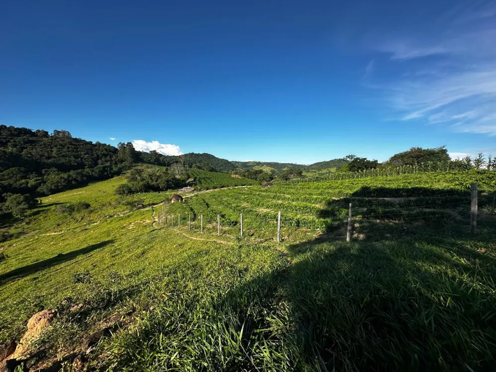 Fazenda, 1 quarto - Foto 8