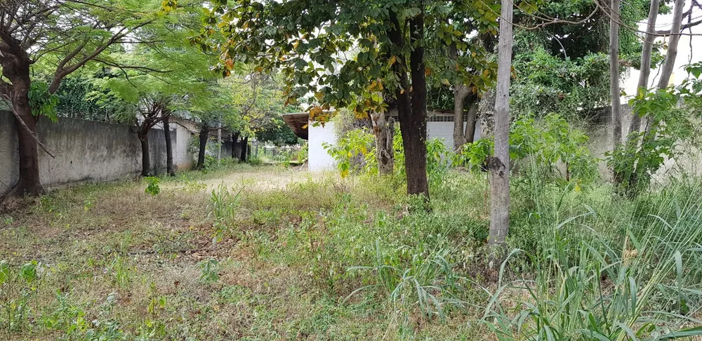 Depósito-Galpão, 500 m² - Foto 5