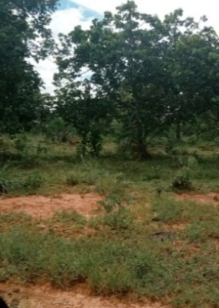 Fazenda, 3 quartos - Foto 4