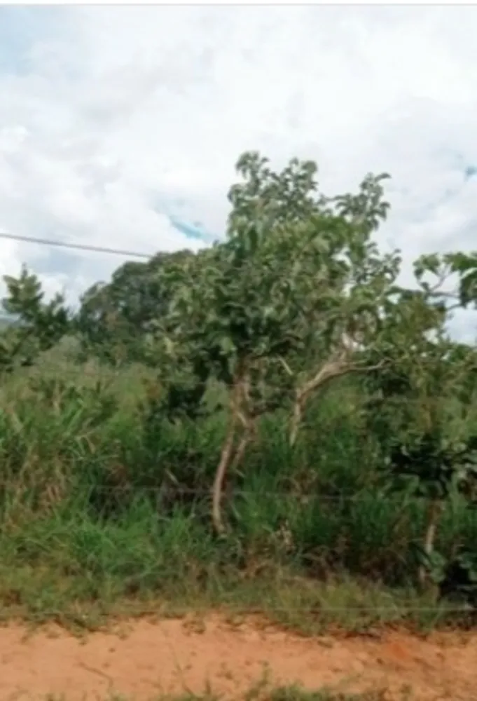 Fazenda, 3 quartos - Foto 5