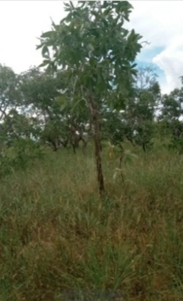 Fazenda, 3 quartos - Foto 6