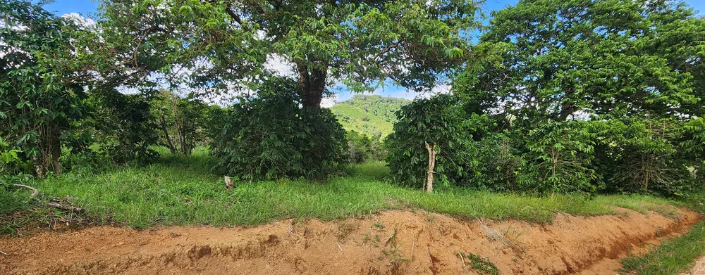 Fazenda, 109 hectares - Foto 3