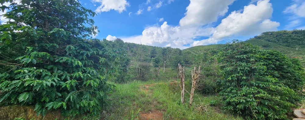 Fazenda, 109 hectares - Foto 4
