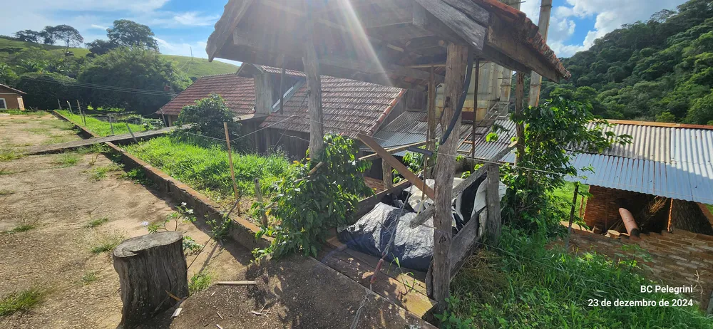 Fazenda, 109 hectares - Foto 14