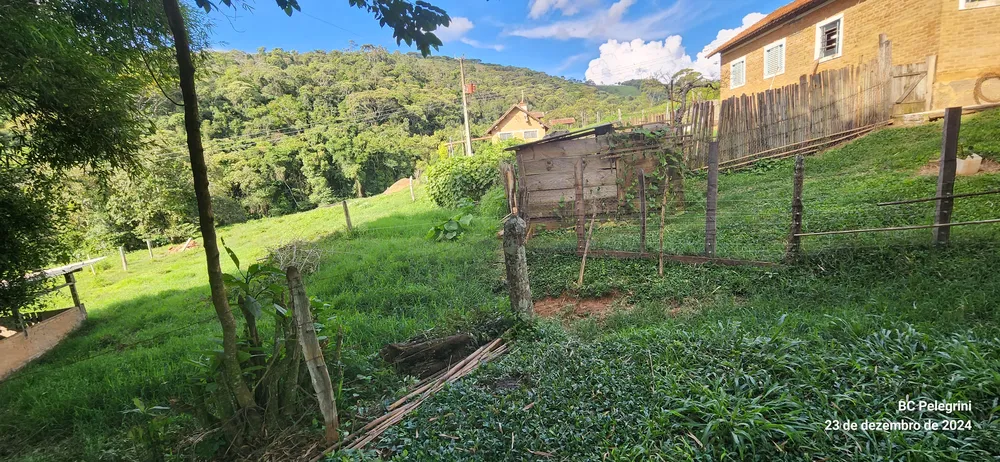 Fazenda, 109 hectares - Foto 8